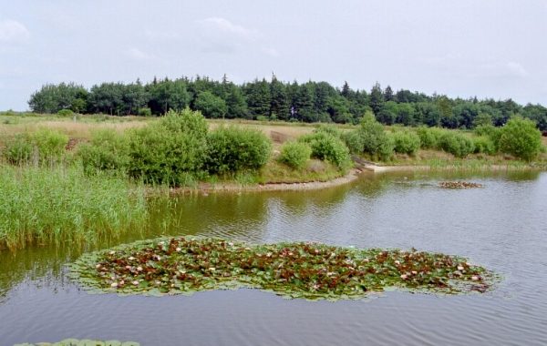 Blick auf den See